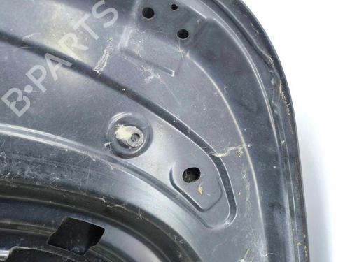 Hood LAND ROVER RANGE ROVER SPORT I (L320) 2.7 D 4x4 | BP28894724C1