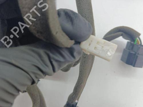 Wiring harness OPEL ANTARA A (L07) 2.2 CDTi | BP28904316E16 