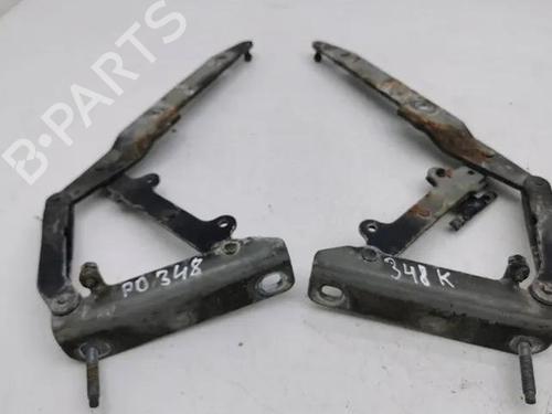 Used Hinge/Door check strap LAND ROVER RANGE ROVER SPORT I (L320) 2.7 D 4x4 (190 hp) 28845158