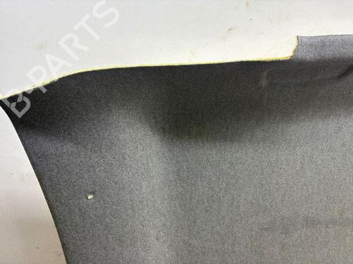 Tecto interior RENAULT CAPTUR II (HF_) TCe 100 (HFMT) | BP38279576I12 - Image 4