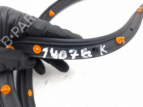 Gummiliste FORD KUGA II (DM2) 2.5 | BP37078294C142 - Image 7
