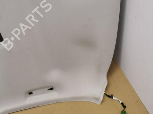 Interior roof JAGUAR XF I (X250) 2.7 D | BP28905288I12 