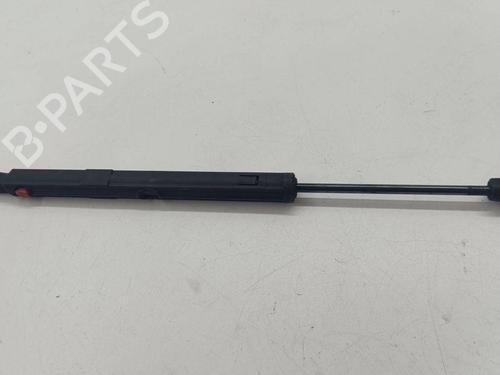 Used Hood lift support MERCEDES-BENZ R-CLASS (W251, V251) R 320 CDI 4-matic (251.022, 251.122) (224 hp) 28889130