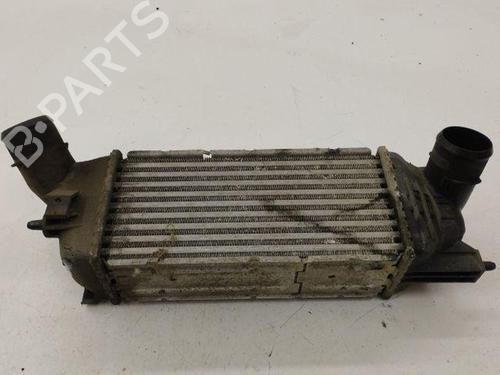 Intercooler PEUGEOT 407 Coupe (6C_) 2.0 HDi (136 hp) 28842092
