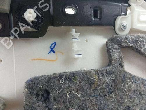 Front left panel LEXUS NX (_Z1_) 300h AWD (AYZ15_, AYZ15R) | BP40230735C58 - Image 6