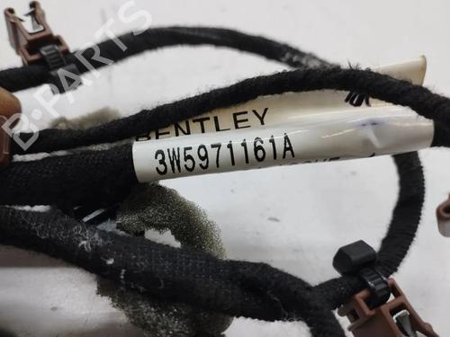 Wiring harness BENTLEY FLYING SPUR (4W_) 6.0 W12 | BP36201212E16 - Image 4