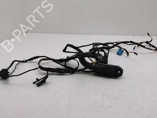 Ledningsnett BMW 7 (F01, F02, F03, F04) 730 d (245 hp) 28851824