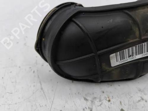 Pipe BMW 7 (F01, F02, F03, F04) 730 d | BP28851832M125 