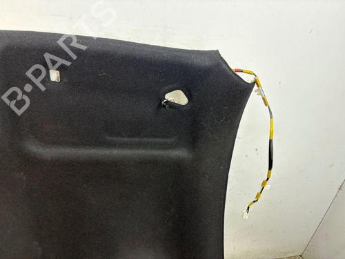 Interiør taket TOYOTA GT 86 Coupe (ZN6_) 2.0 (ZN6AC_, ZN6BC_, ZN6K) | BP29812979I12