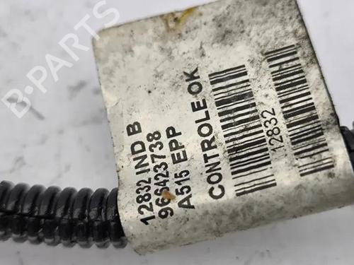 Wiring harness CITROËN DS3 Convertible 1.6 HDi 90 | BP28843059E16 