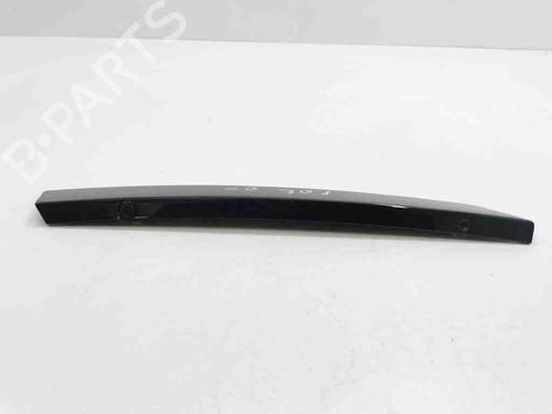 Door moulding trim MERCEDES-BENZ R-CLASS (W251, V251) R 320 CDI 4-matic (251.022, 251.122) | BP28903979C150 