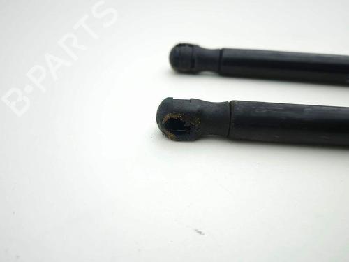 Hood lift support JAGUAR XE (X760) 2.0 D | BP29042894C139 