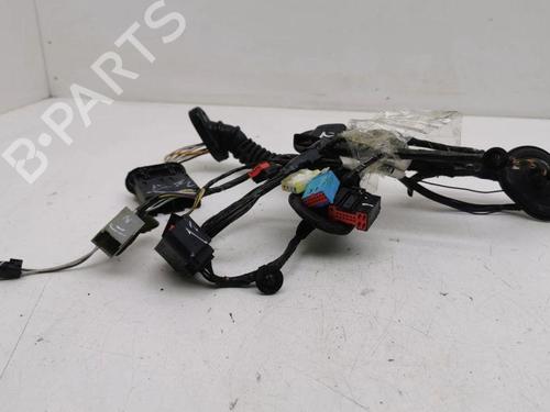 Kabelboom FORD C-MAX II (DXA/CB7, DXA/CEU) 2.0 TDCi | BP28887539E16