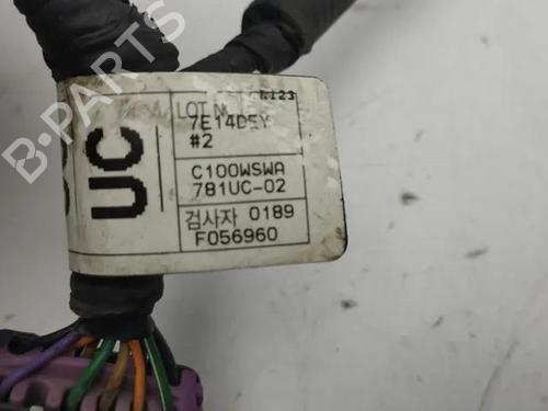 Wiring harness CHEVROLET CAPTIVA (C100, C140) 2.0 D 4WD | BP28848118E16 