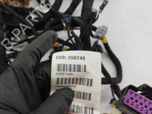 Wiring harness MASERATI QUATTROPORTE V 4.2 | BP28876812E16 