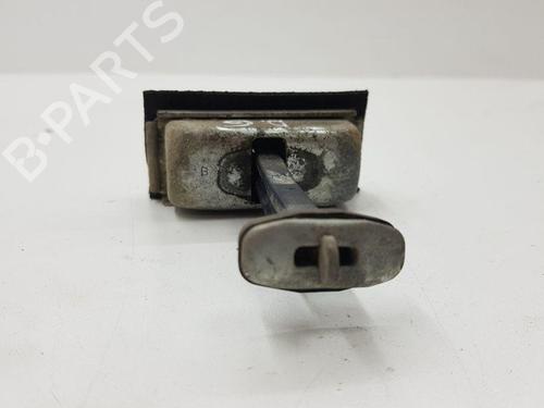 Hinge/Door check strap FORD FOCUS C-MAX (DM2) 1.6 TDCi | BP28891445C146 