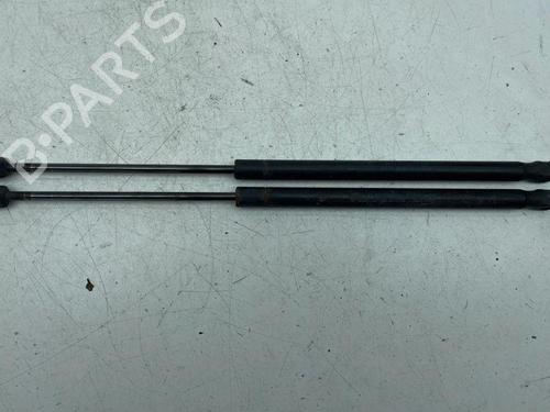 Tailgate lift support FORD KUGA I 2.0 TDCi 4x4 | BP28893381C138 