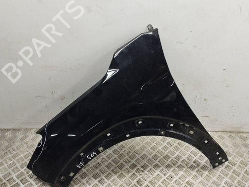 Used Left front fenders HYUNDAI TUCSON (TL, TLE) 1.7 CRDi (116 hp) 28895019