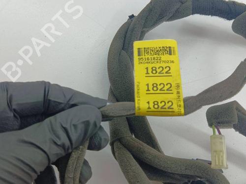 Wiring harness OPEL ANTARA A (L07) 2.2 CDTi | BP28904316E16 
