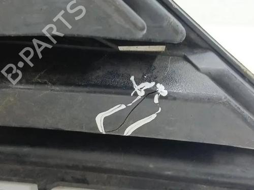 Grille VW PASSAT B8 Variant (3G5, CB5) 1.6 TDI | BP28854778C40 