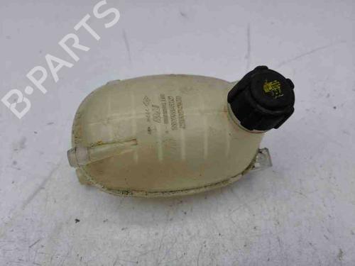 Ekspansjonstank RENAULT CLIO V (B7_) 1.3 TCe 130 (B7MF) (131 hp) 28897011