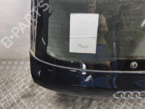 Tailgate AUDI A3 Sportback (8VA, 8VF) 2.0 TDI | BP28896113C6 
