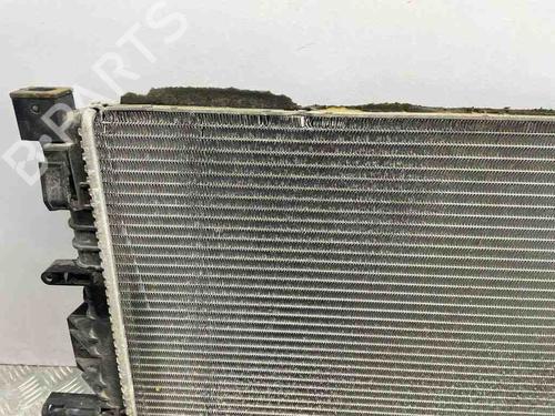 Køler FORD S-MAX (CJ, WA6) 2.0 EcoBoost | BP28885962M31