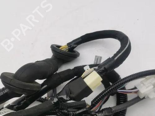 Ledningsnett TOYOTA RAV 4 V (_A5_, _H5_) 2.5 Hybrid AWD (AXAH54, AXAL54) | BP28859930E16 