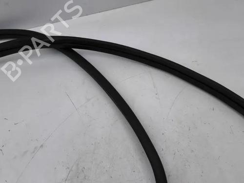 Rubber door seal NISSAN QASHQAI II (J11, J11_) 1.5 dCi | BP28861993C142 