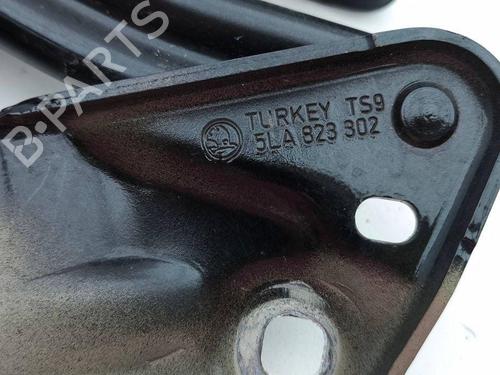 Hinge/Door check strap SKODA ENYAQ iV SUV (5AZ) 50 | BP29076555C146 