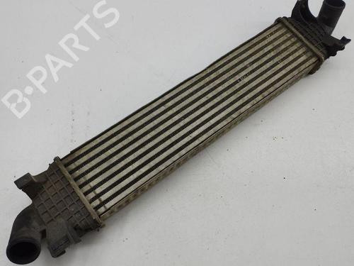 Used Intercooler FORD KUGA I 2.0 TDCi 4x4 (140 hp) 28887916