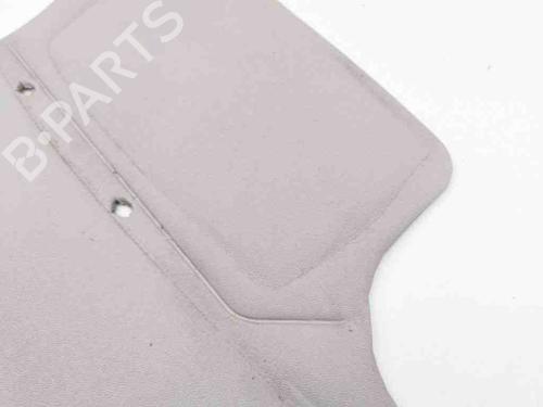 Front left panel FIAT DUCATO Van (250_) 150 Multijet 2,3 D | BP28906093C58 