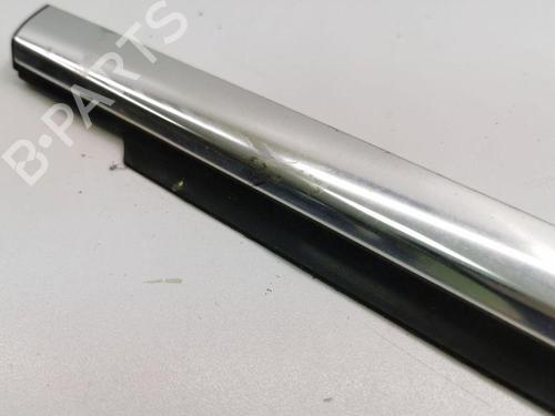 Door moulding trim MERCEDES-BENZ R-CLASS (W251, V251) R 320 CDI 4-matic (251.022, 251.122) | BP28889099C150 