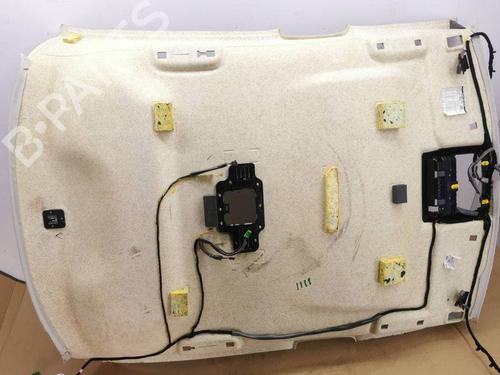 Interior roof JAGUAR XF I (X250) 2.7 D | BP28905288I12 