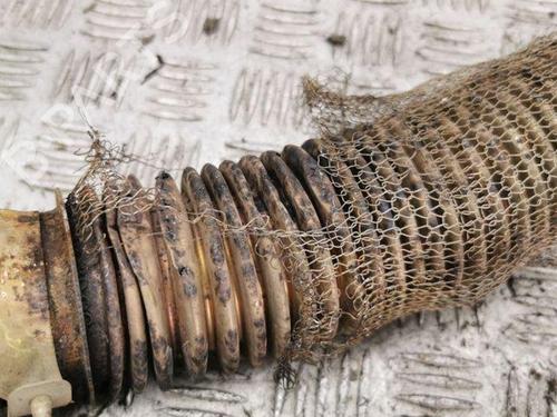 Catalyst FORD FOCUS IV (HN) 1.0 EcoBoost | BP28855632M10 