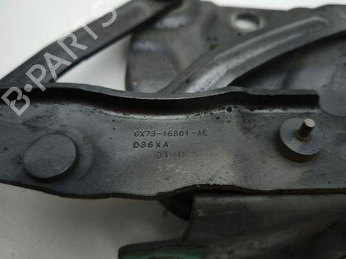 Hinge/Door check strap JAGUAR XE (X760) 2.0 D | BP29042893C146 