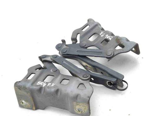 Hinge/Door check strap KIA SPORTAGE V (NQ5) 1.6 T-GDI | BP28884181C146