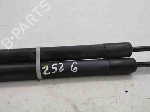 Tailgate lift support RENAULT CLIO IV (BH_) 1.5 dCi 90 | BP28904598C138 