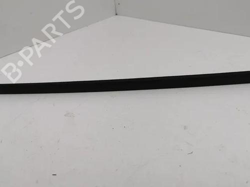Door moulding trim SKODA OCTAVIA I (1U2) 2.0 | BP28862533C150 