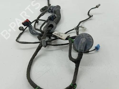 Wiring harness LAND ROVER RANGE ROVER EVOQUE (L538) 2.2 D 4x4 | BP28859605E16 