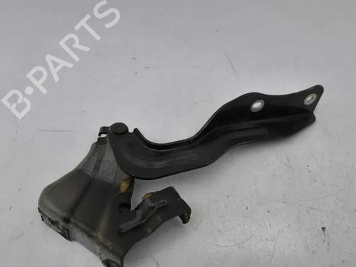 Hinge/Door check strap NISSAN QASHQAI II (J11, J11_) 1.5 dCi | BP28861935C146 
