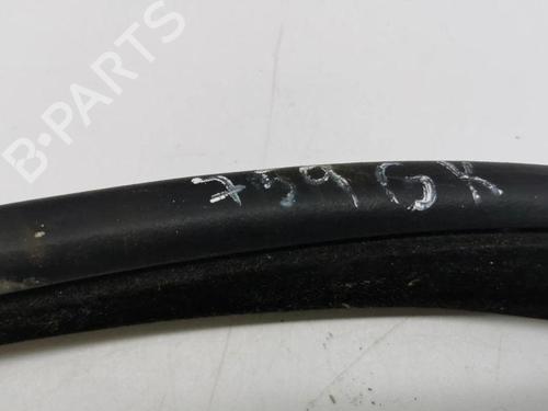 Rubber door seal LAND ROVER RANGE ROVER EVOQUE (L538) 2.2 D 4x4 | BP28898637C142 