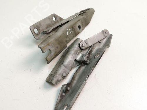Hinge/Door check strap BMW 5 Touring (E61) 530 d | BP28869343C146 