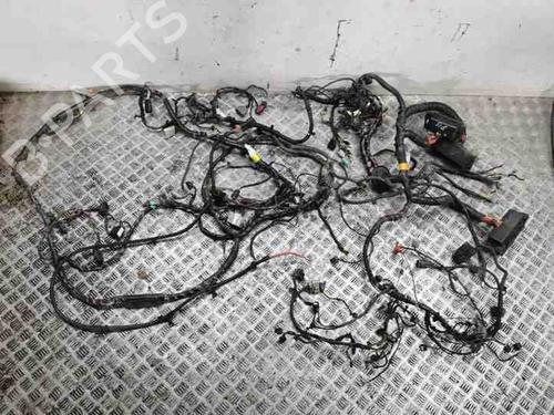 Ledningsnett TESLA MODEL S (5YJS) 60 (306 hp) 28862972