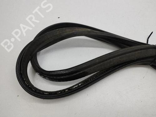 Gummiliste FORD FOCUS IV (HN) 1.0 EcoBoost | BP37290546C142 - Image 4