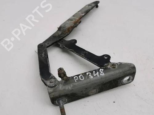 Hinge/Door check strap LAND ROVER RANGE ROVER SPORT I (L320) 2.7 D 4x4 | BP28845158C146 