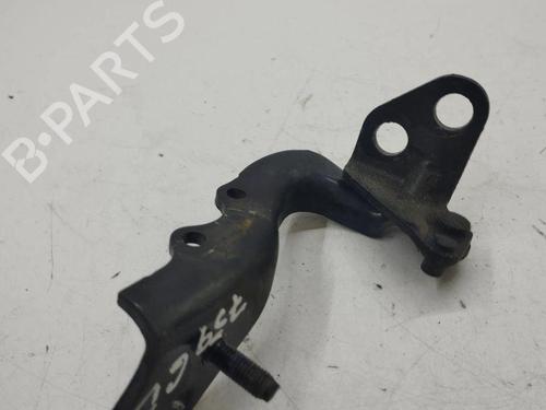 Hinge/Door check strap LAND ROVER RANGE ROVER EVOQUE (L538) 2.2 D 4x4 | BP28898695C146 