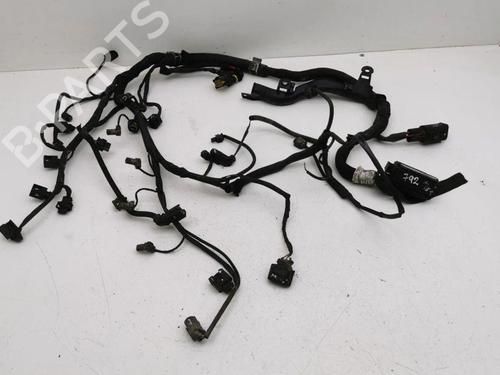 Used Wiring harness MERCEDES-BENZ B-CLASS Sports Tourer (W245) B 180 CDI (245.207) (109 hp) 28900135