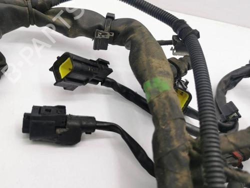 Wiring harness MERCEDES-BENZ B-CLASS Sports Tourer (W245) B 200 TURBO (245.234) | BP28904087E16 