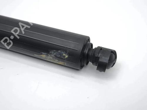 Tailgate lift support FORD KUGA II (DM2) 1.6 EcoBoost | BP36191878C138 - Image 5